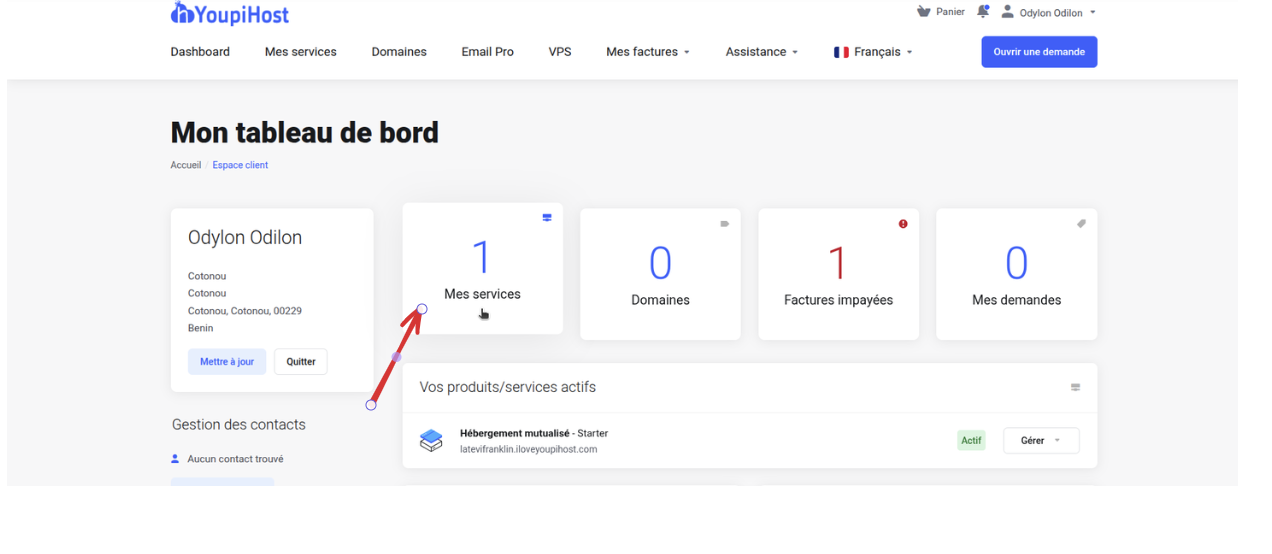 youpihost service